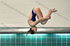 Maddy Morrison  Wheaton College Women's diver Maddy Morrison competes against Babson College, January 11, 2020. - Photo By: KEITH NORDSTROM : Wheaton, Swimming, Maddy Morrison